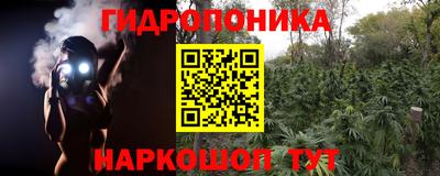 твердый Камышлов